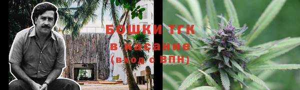 PSILOCYBIN Алексеевка