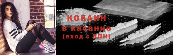 соль ск Алзамай