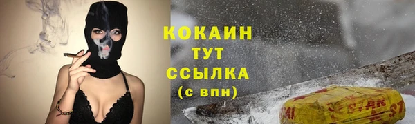 соль ск Алзамай