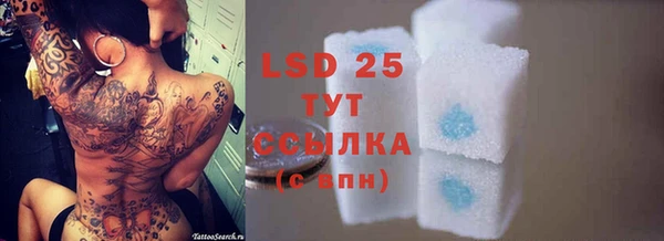 PSILOCYBIN Алексеевка