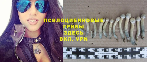 PSILOCYBIN Алексеевка