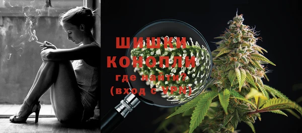 PSILOCYBIN Алексеевка