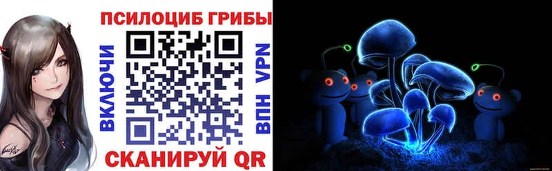 Псилоцибиновые грибы Psilocybine cubensis  Павловский Посад 