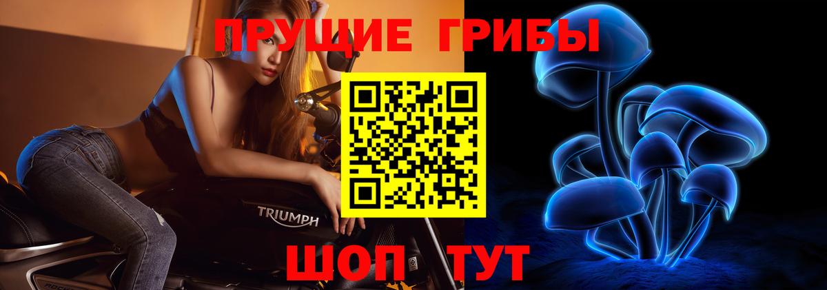 Галлюциногенные грибы Psilocybe Павловский Посад