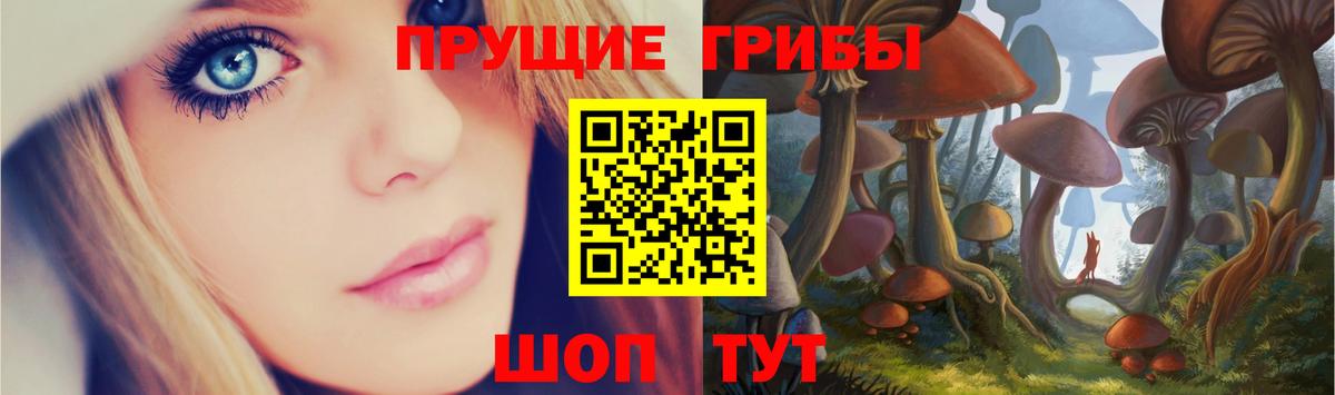 Псилоцибиновые грибы GOLDEN TEACHER  Вход с VPN  Псилоцибиновые грибы Cubensis  Павловский Посад 